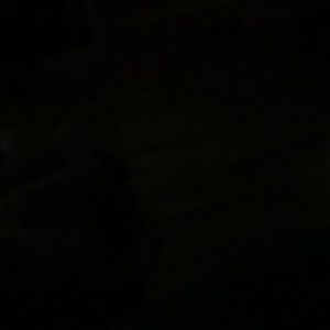 Meet your Posher, Jaime